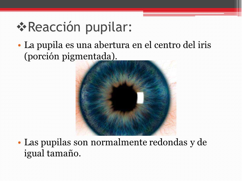 Reacción pupilar: La pupila es una abertura en el centro del iris (porción pigmentada).