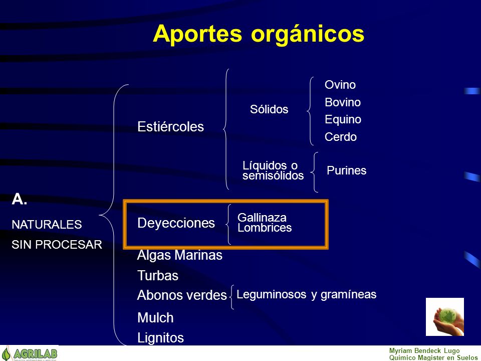 Aportes orgánicos A. Estiércoles Deyecciones Algas Marinas Turbas