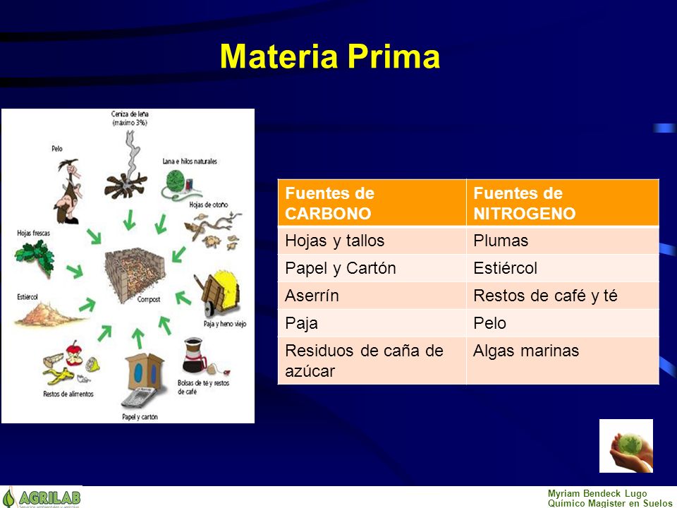 Materia Prima Fuentes de CARBONO Fuentes de NITROGENO Hojas y tallos