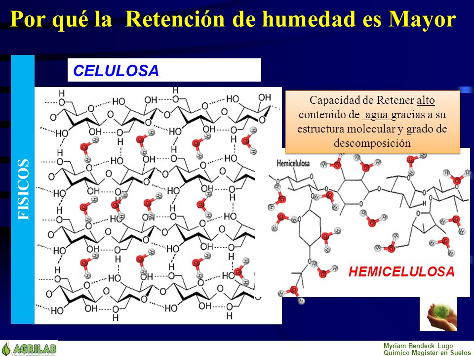 Por qué la Retención de humedad es Mayor