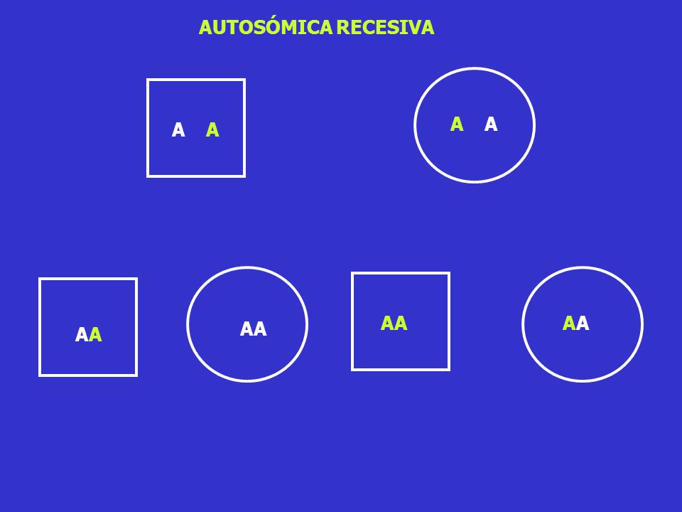 AUTOSÓMICA RECESIVA A A A A AA AA AA AA
