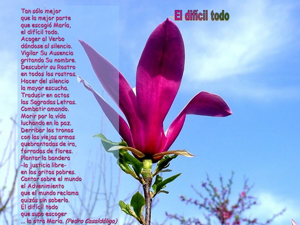 Tan sólo mejor que la mejor parte que escogió María, el difícil todo.