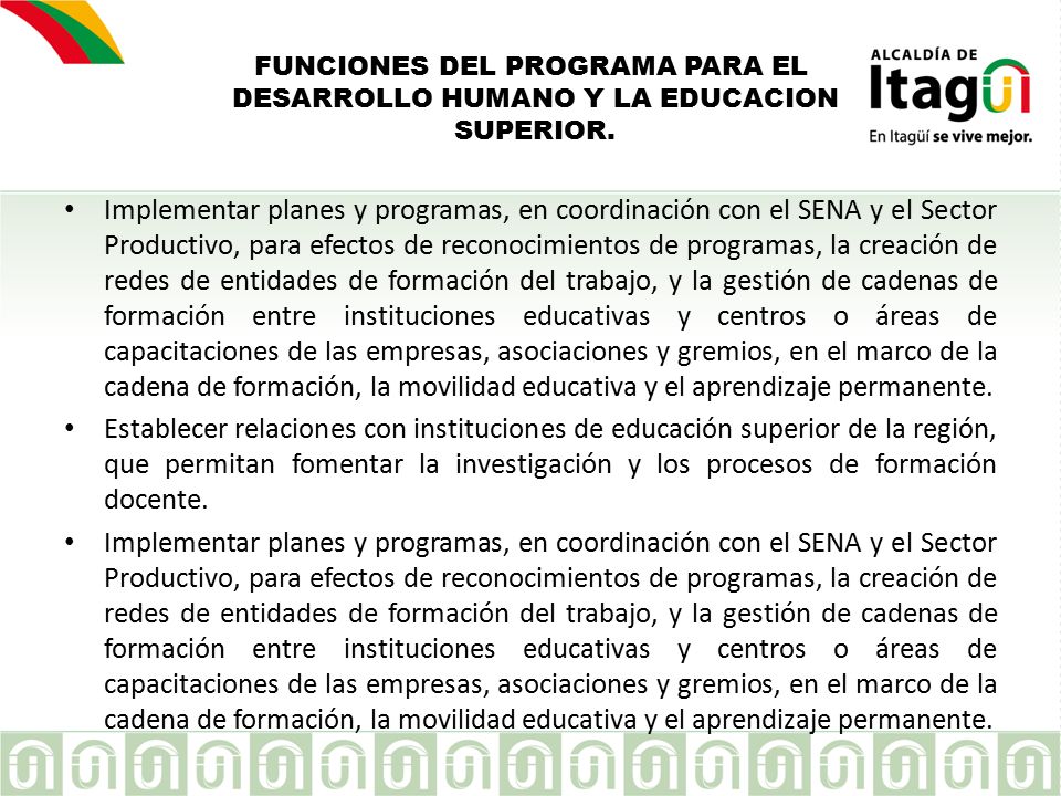 FUNCIONES DEL PROGRAMA PARA EL DESARROLLO HUMANO Y LA EDUCACION SUPERIOR.