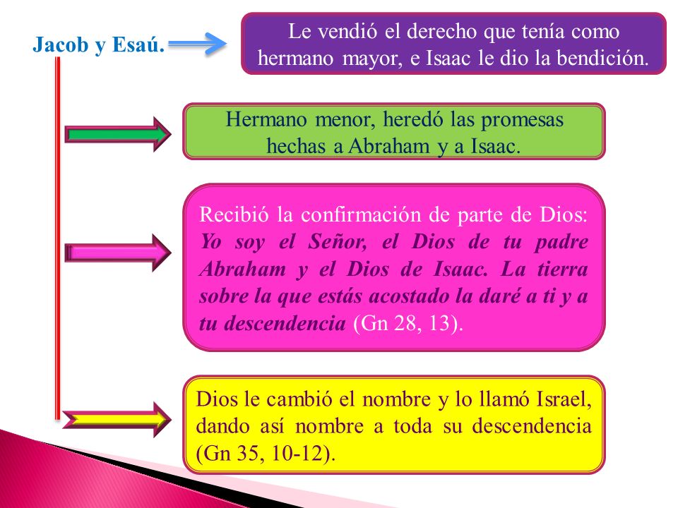 Hermano menor, heredó las promesas hechas a Abraham y a Isaac.
