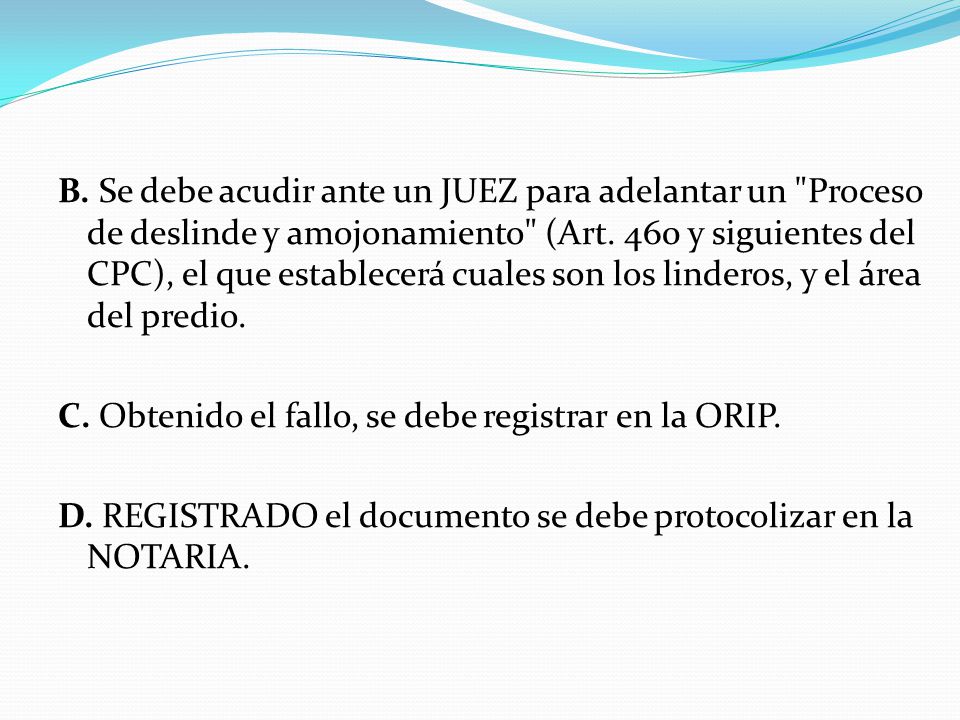 B. Se debe acudir ante un JUEZ para adelantar un Proceso de deslinde y amojonamiento (Art.