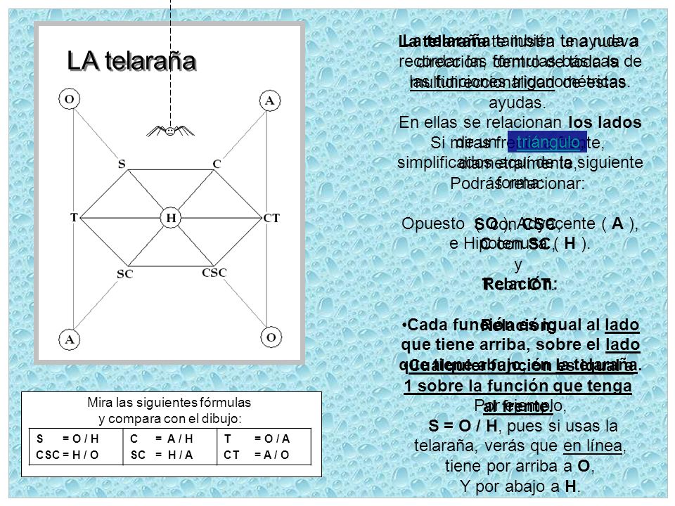 La telaraña también te ayuda a recordar las fórmulas básicas de las funciones trigonométricas.