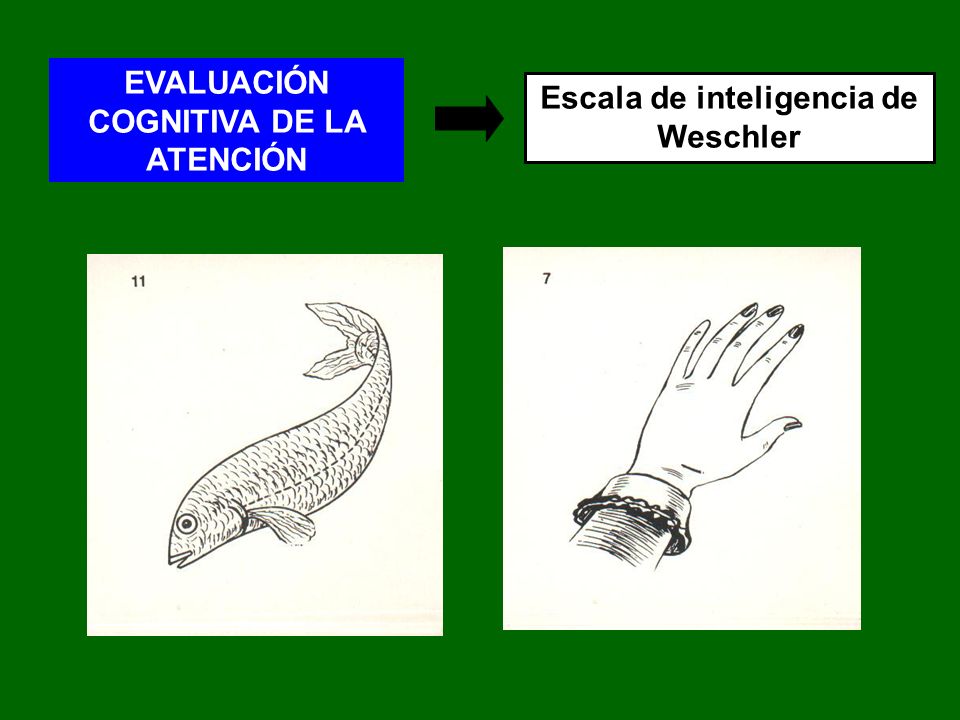 EVALUACIÓN COGNITIVA DE LA ATENCIÓN Escala de inteligencia de Weschler