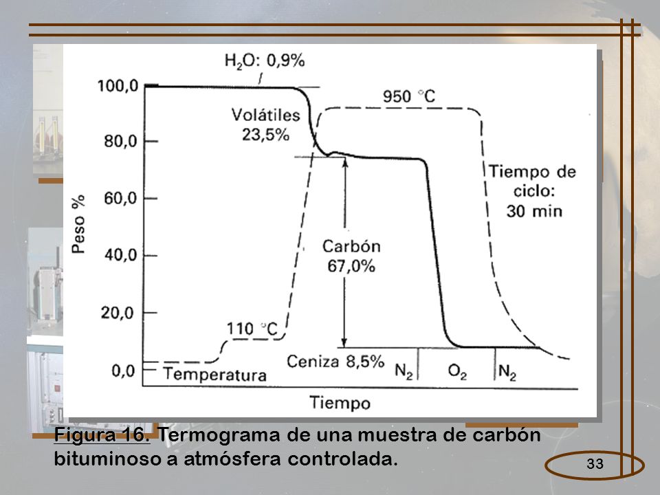 Figura 16. Termograma de una muestra de carbón bituminoso a atmósfera controlada.