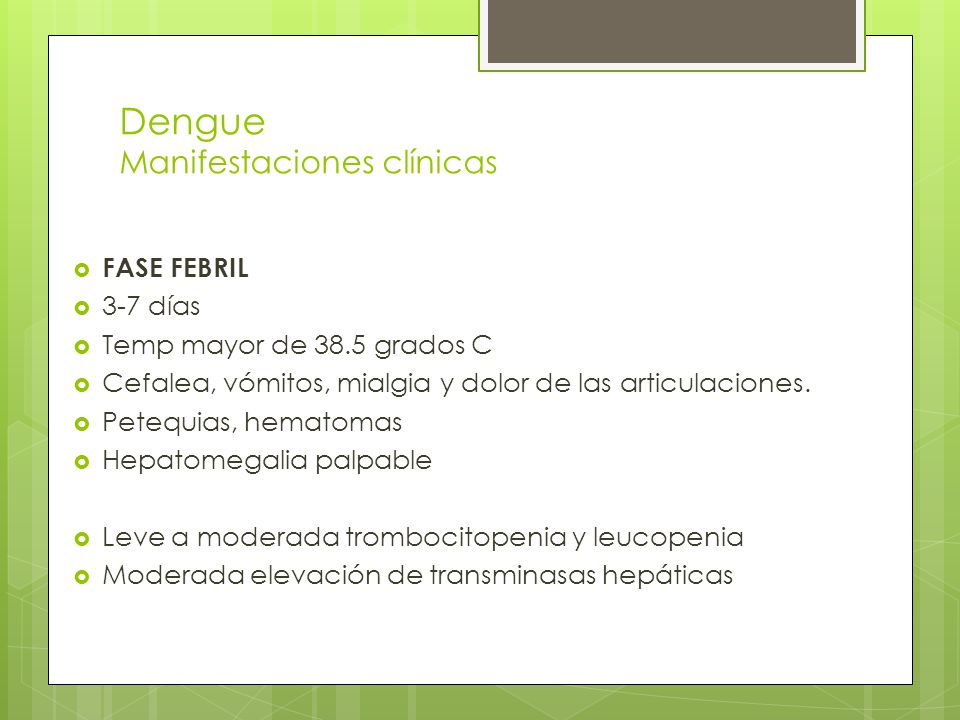 Dengue Manifestaciones clínicas