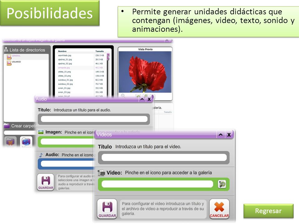 Posibilidades Permite generar unidades didácticas que contengan (imágenes, video, texto, sonido y animaciones).