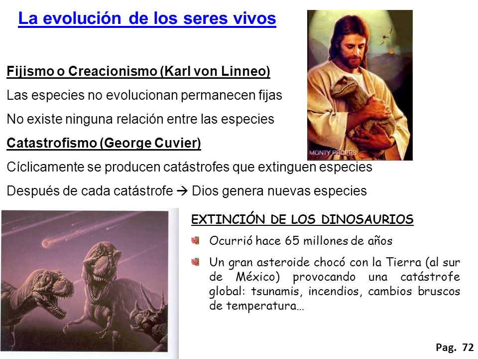 La evolución de los seres vivos