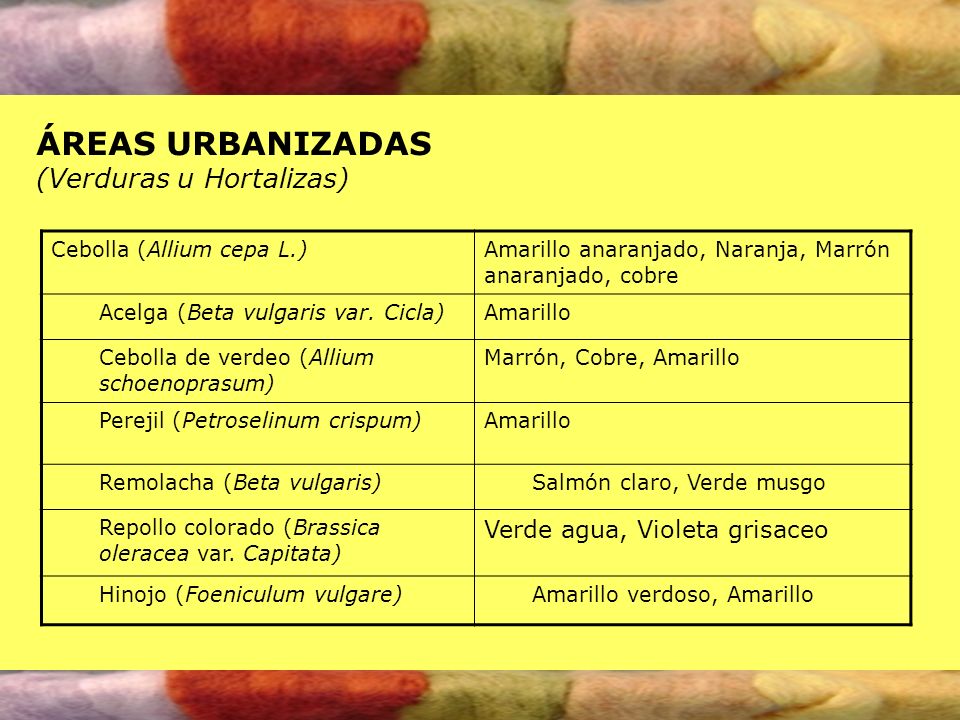 ÁREAS URBANIZADAS (Verduras u Hortalizas) Verde agua, Violeta grisaceo