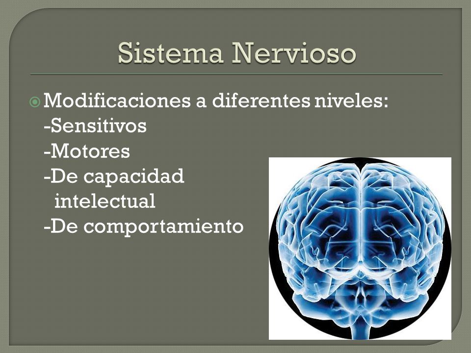 Sistema Nervioso Modificaciones a diferentes niveles: -Sensitivos -Motores -De capacidad.