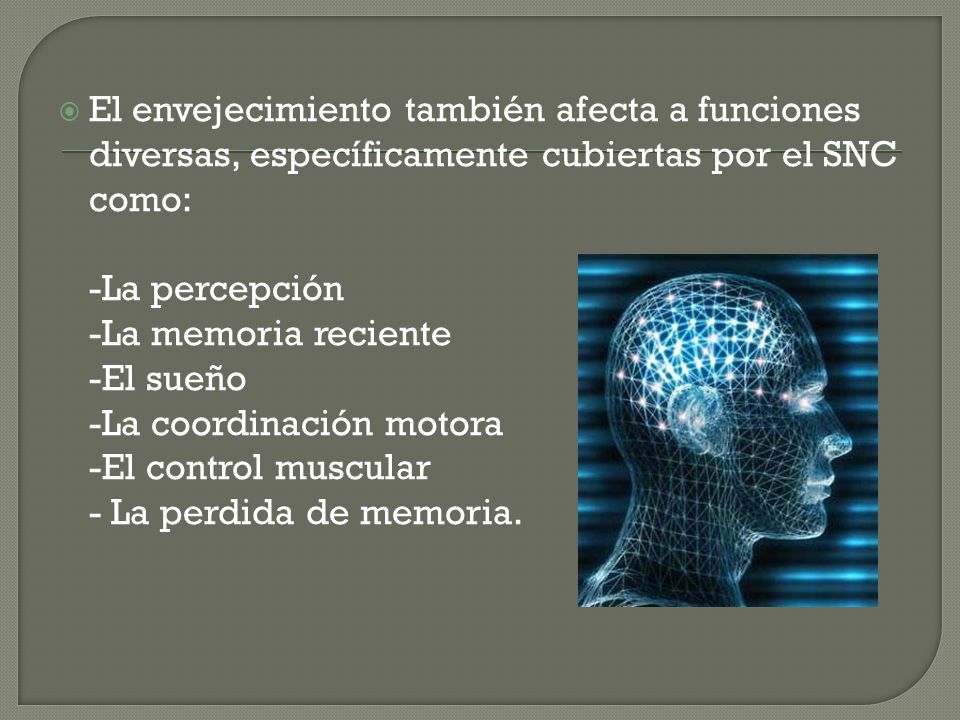 El envejecimiento también afecta a funciones diversas, específicamente cubiertas por el SNC como: