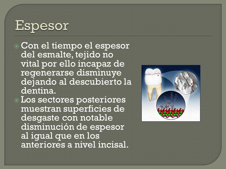 Espesor Con el tiempo el espesor del esmalte, tejido no vital por ello incapaz de regenerarse disminuye dejando al descubierto la dentina.