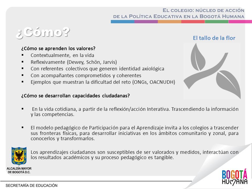 ¿Cómo El tallo de la flor ¿Cómo se aprenden los valores