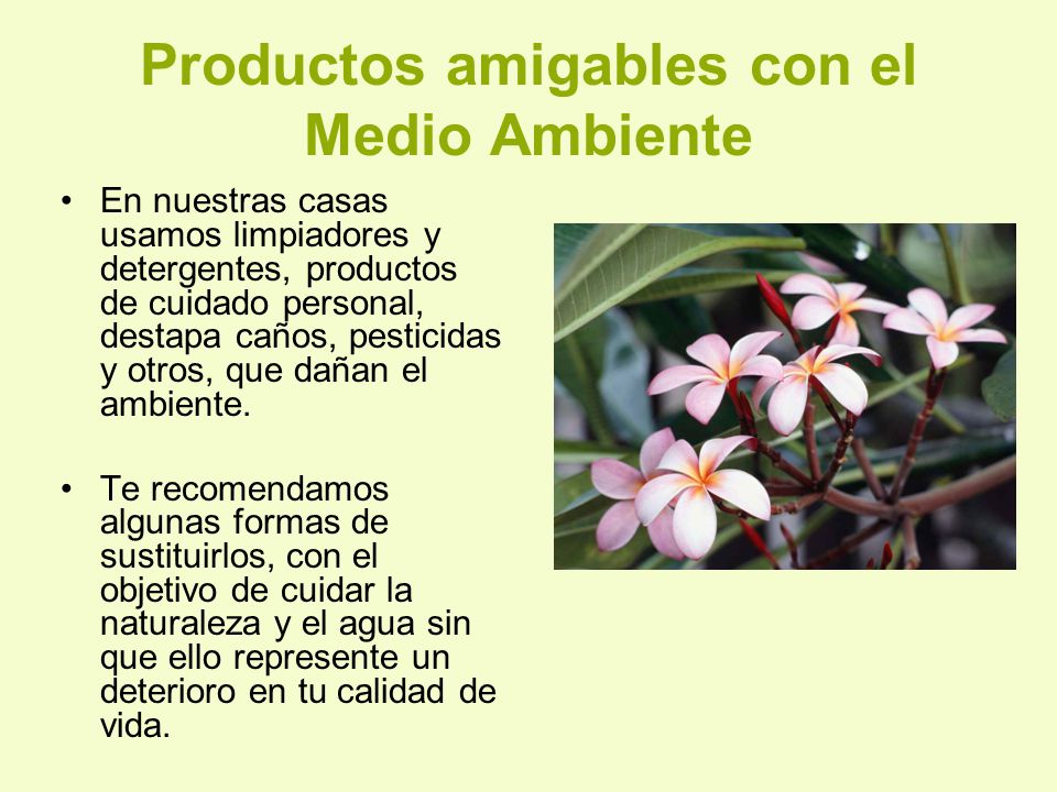 Productos amigables con el Medio Ambiente