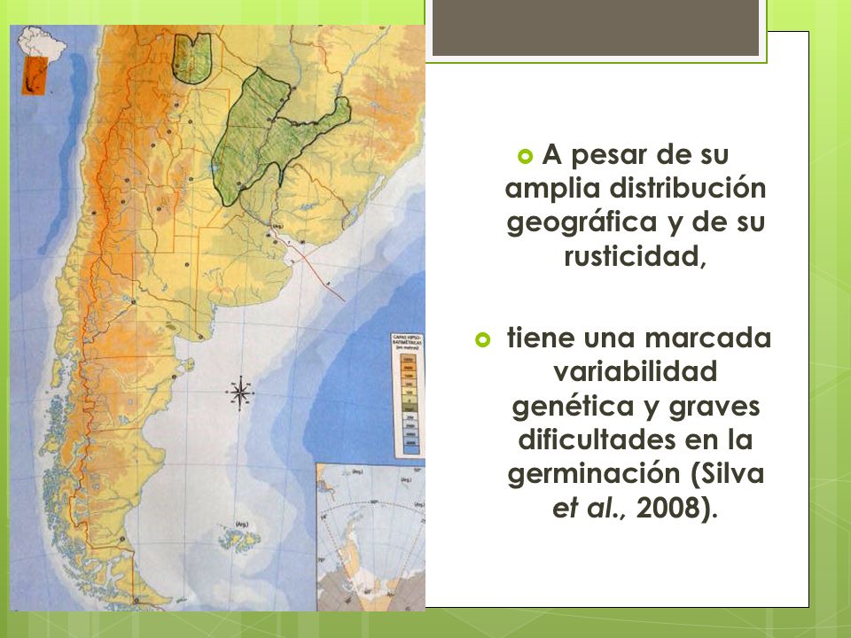 A pesar de su amplia distribución geográfica y de su rusticidad,