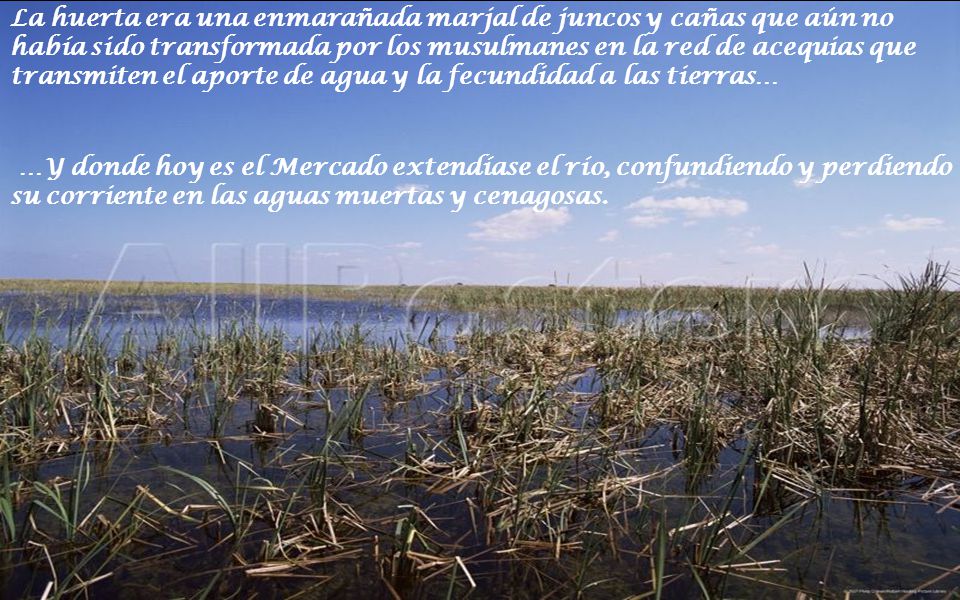 La huerta era una enmarañada marjal de juncos y cañas que aún no había sido transformada por los musulmanes en la red de acequias que transmiten el aporte de agua y la fecundidad a las tierras…
