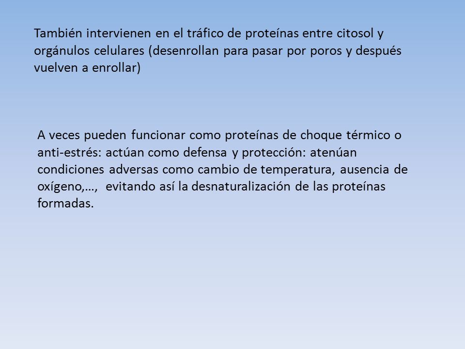 También intervienen en el tráfico de proteínas entre citosol y orgánulos celulares (desenrollan para pasar por poros y después vuelven a enrollar)