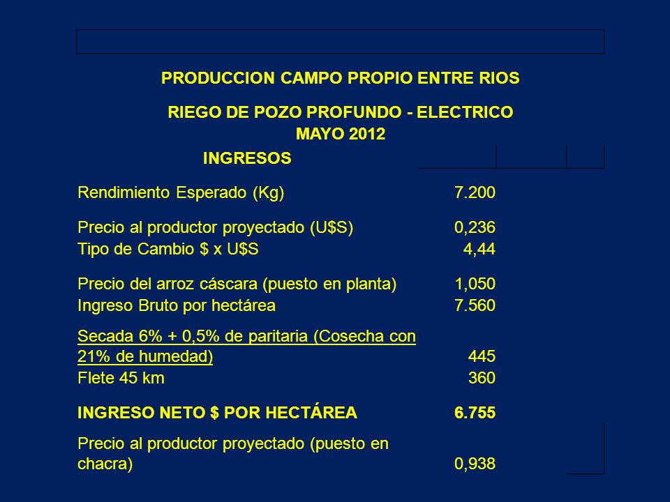PRODUCCION CAMPO PROPIO ENTRE RIOS RIEGO DE POZO PROFUNDO - ELECTRICO