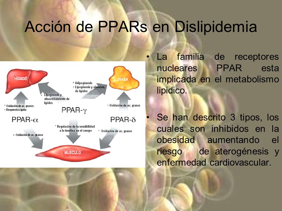 Acción de PPARs en Dislipidemia
