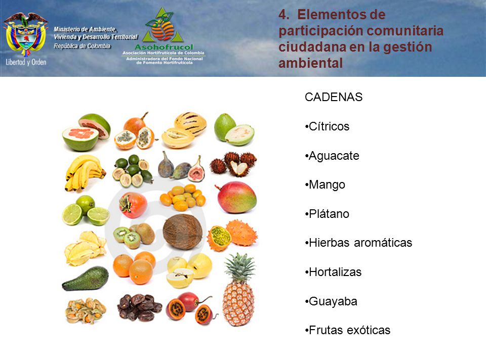 4. Elementos de participación comunitaria ciudadana en la gestión ambiental