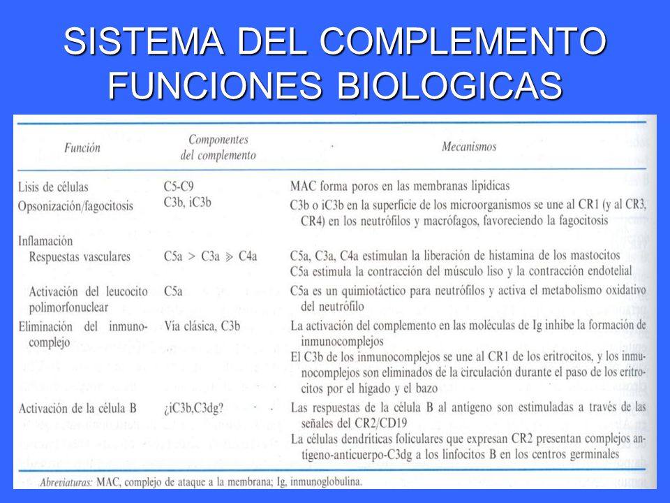 SISTEMA DEL COMPLEMENTO FUNCIONES BIOLOGICAS