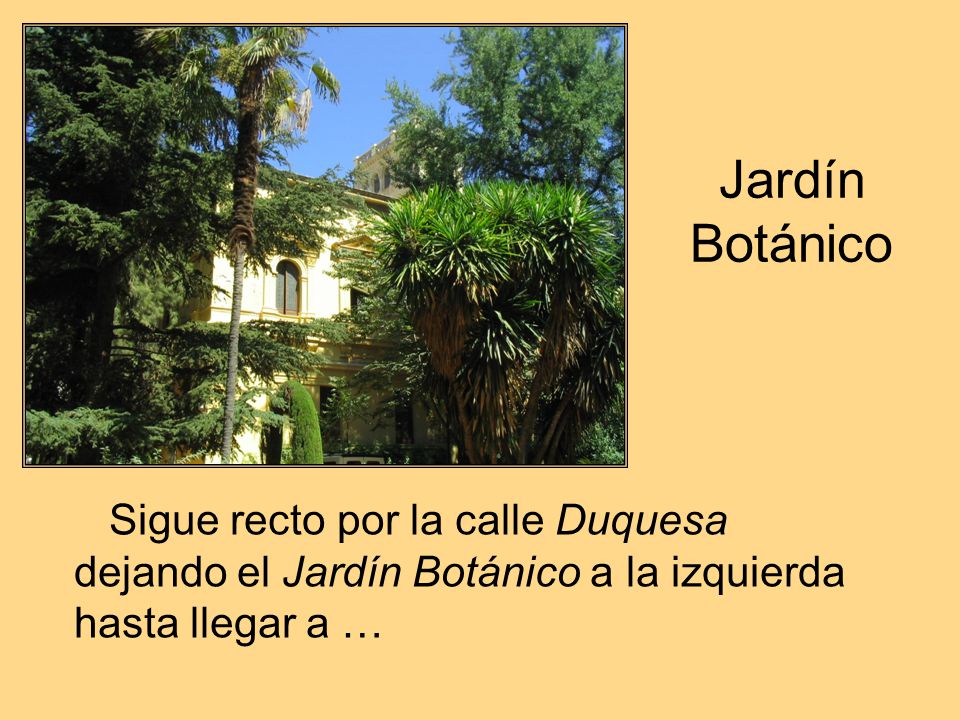 Jardín Botánico Sigue recto por la calle Duquesa dejando el Jardín Botánico a la izquierda hasta llegar a …