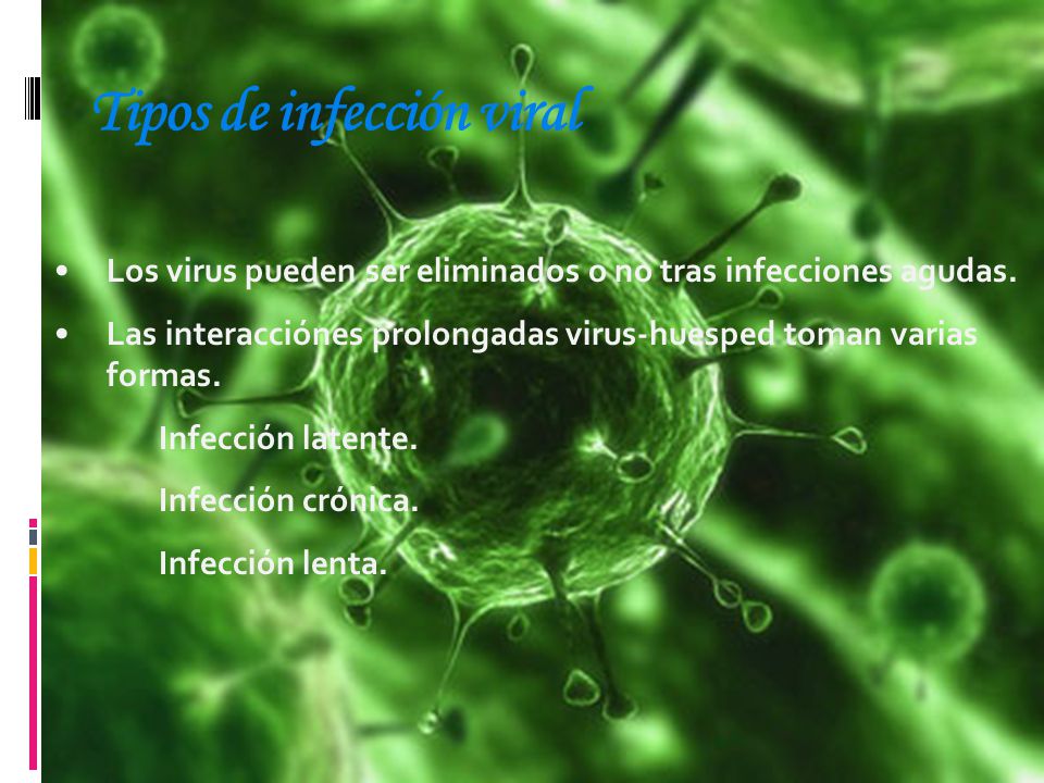 Tipos de infección viral