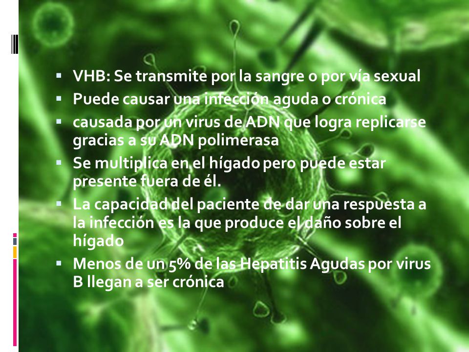 VHB: Se transmite por la sangre o por vía sexual