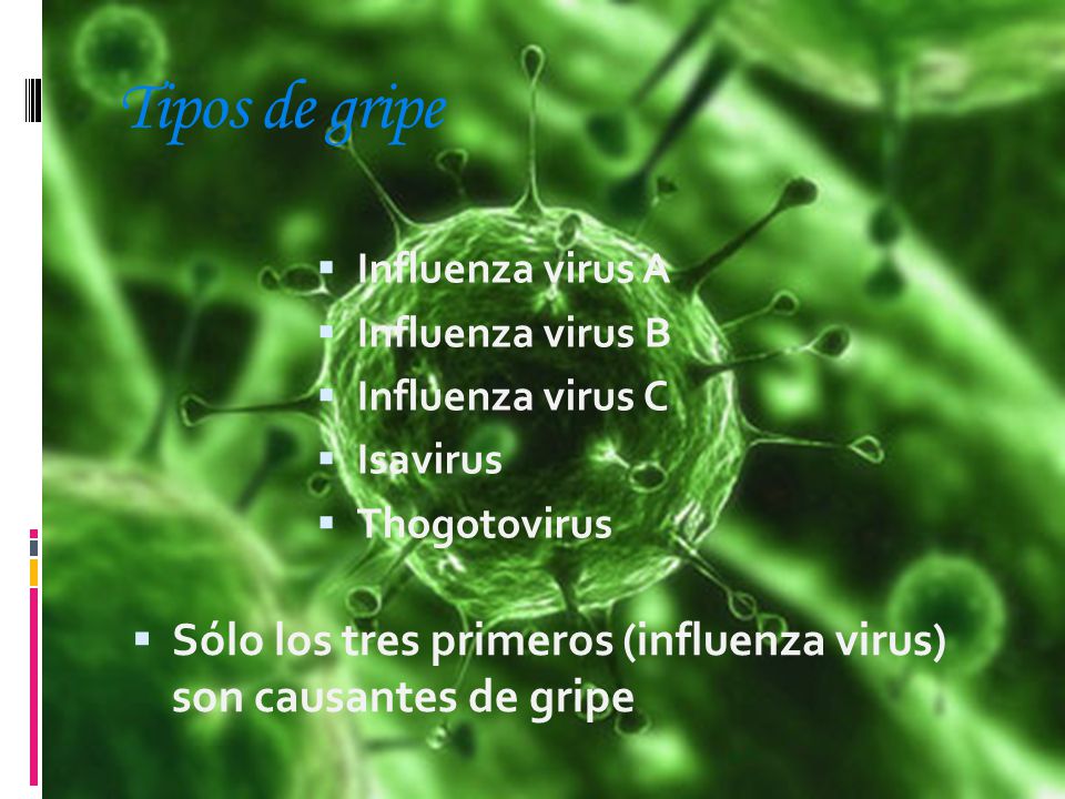 Tipos de gripe Influenza virus A. Influenza virus B. Influenza virus C. Isavirus. Thogotovirus.