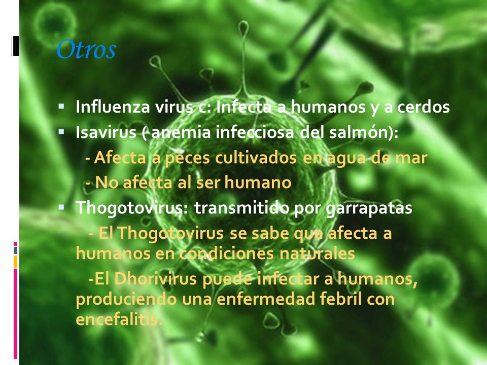 Otros Influenza virus c: Infecta a humanos y a cerdos