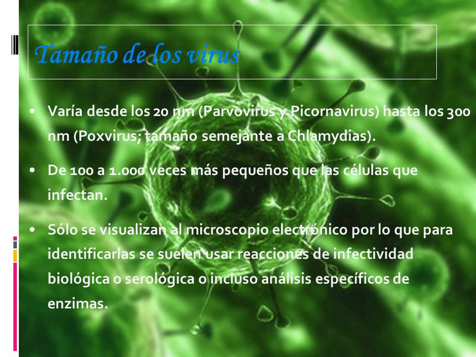 Tamaño de los virus Varía desde los 20 nm (Parvovirus y Picornavirus) hasta los 300 nm (Poxvirus; tamaño semejante a Chlamydias).