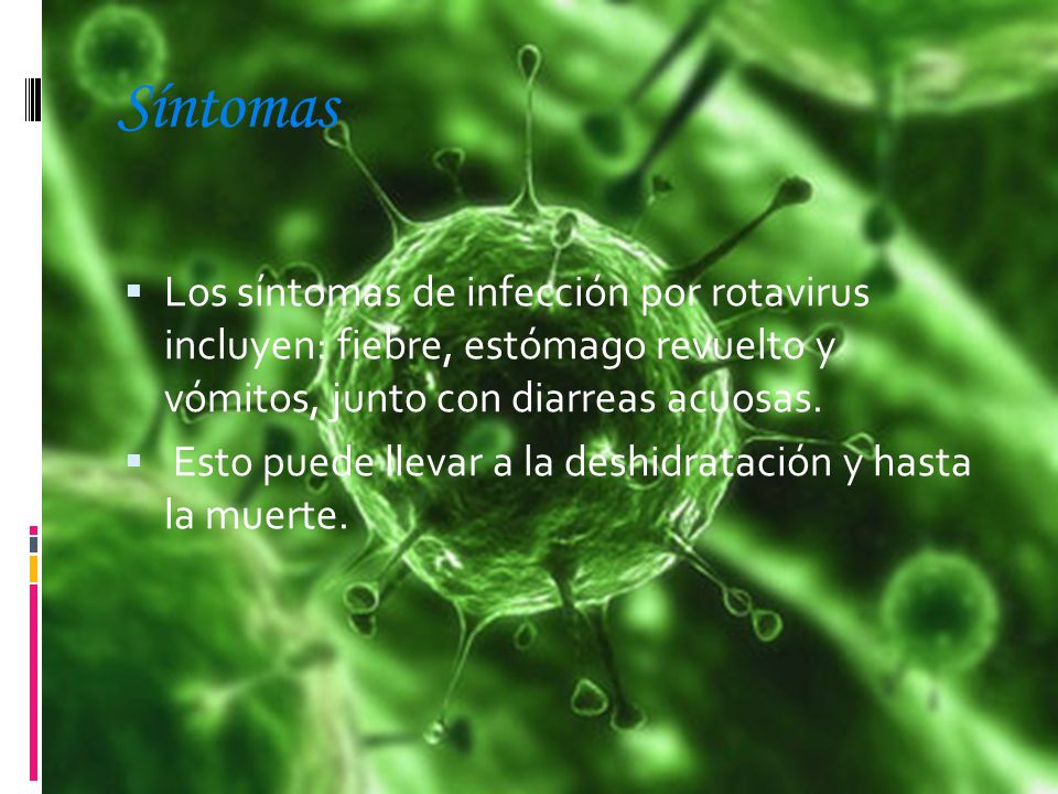 Síntomas Los síntomas de infección por rotavirus incluyen: fiebre, estómago revuelto y vómitos, junto con diarreas acuosas.