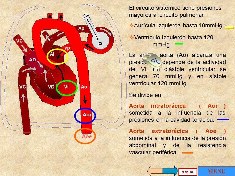 AD El circuito sistémico tiene presiones mayores al circuito pulmonar. Aurícula izquierda hasta 10mmHg.