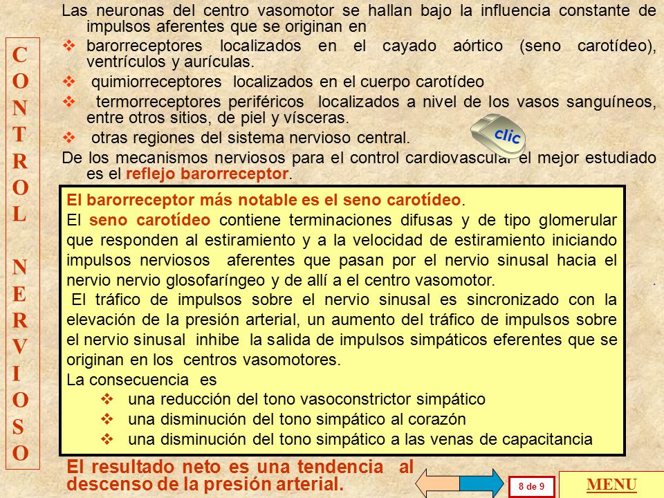 Las neuronas del centro vasomotor se hallan bajo la influencia constante de impulsos aferentes que se originan en