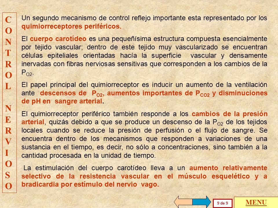 CONTROL NERVIOSO. Un segundo mecanismo de control reflejo importante esta representado por los quimiorreceptores periféricos.