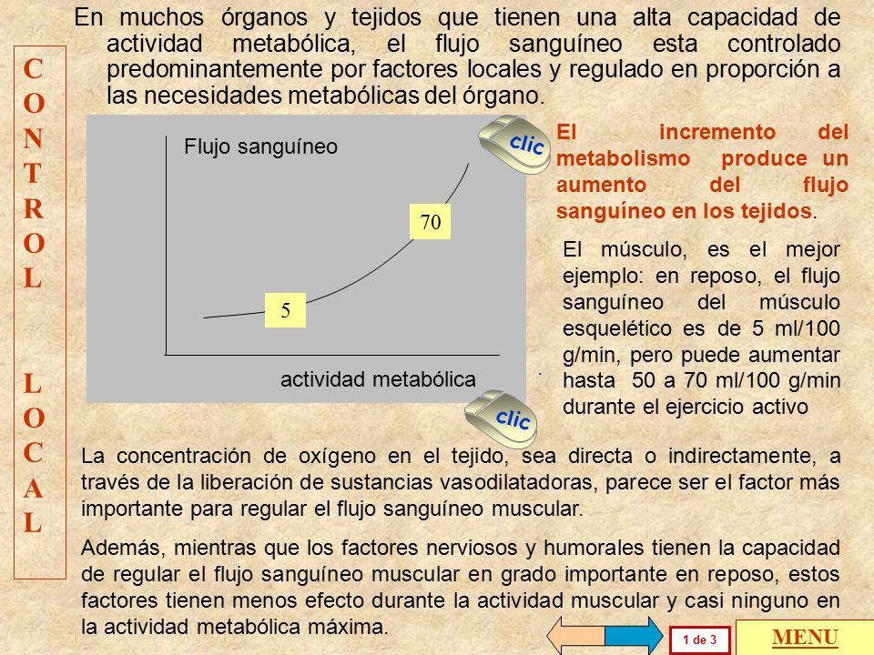En muchos órganos y tejidos que tienen una alta capacidad de actividad metabólica, el flujo sanguíneo esta controlado predominantemente por factores locales y regulado en proporción a las necesidades metabólicas del órgano.