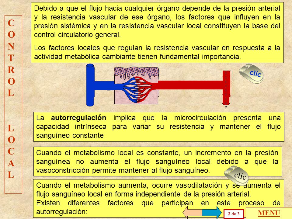 Debido a que el flujo hacia cualquier órgano depende de la presión arterial y la resistencia vascular de ese órgano, los factores que influyen en la presión sistémica y en la resistencia vascular local constituyen la base del control circulatorio general.