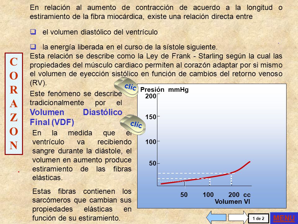 En relación al aumento de contracción de acuerdo a la longitud o estiramiento de la fibra miocárdica, existe una relación directa entre