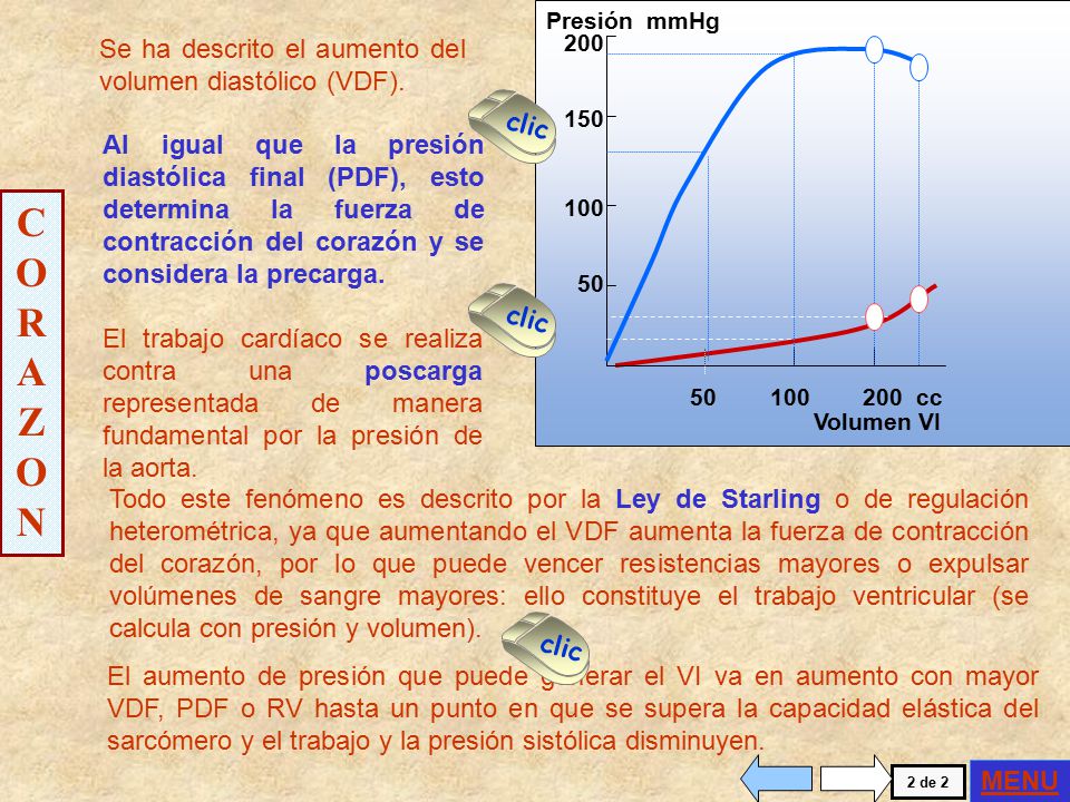 CORAZON Se ha descrito el aumento del volumen diastólico (VDF). clic