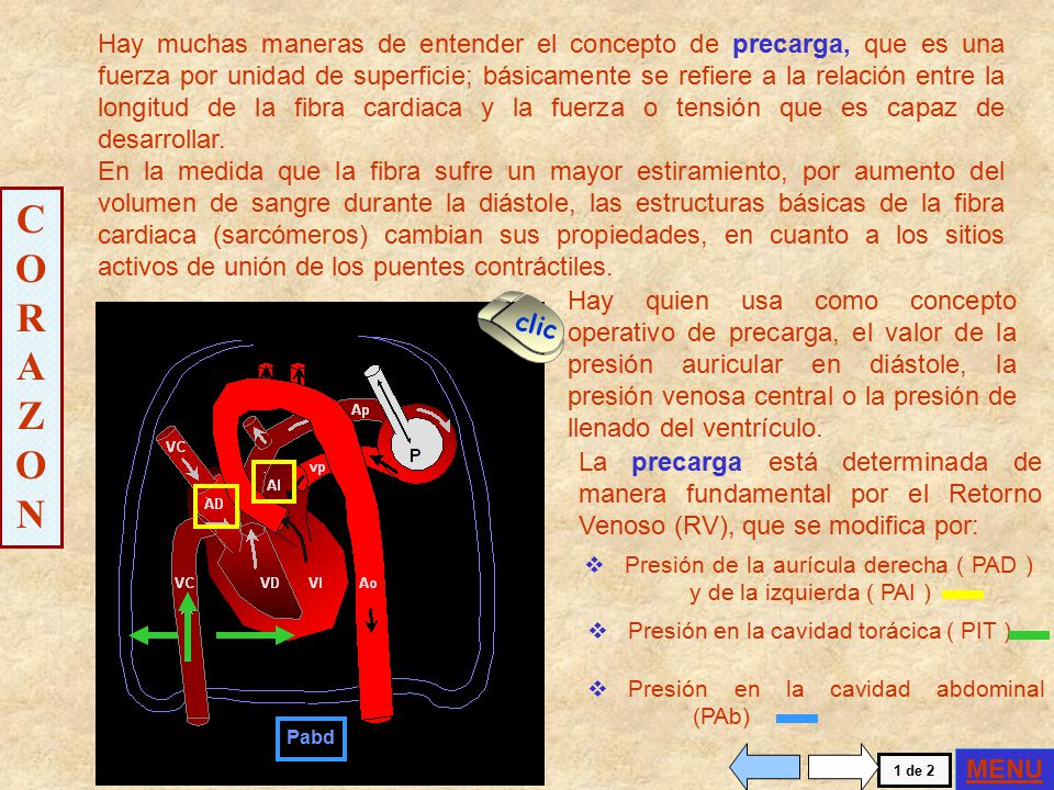 Hay muchas maneras de entender el concepto de precarga, que es una fuerza por unidad de superficie; básicamente se refiere a la relación entre la longitud de la fibra cardiaca y la fuerza o tensión que es capaz de desarrollar.