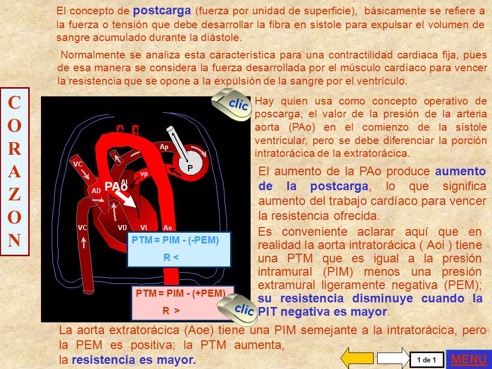 El concepto de postcarga (fuerza por unidad de superficie), básicamente se refiere a la fuerza o tensión que debe desarrollar la fibra en sístole para expulsar el volumen de sangre acumulado durante la diástole.