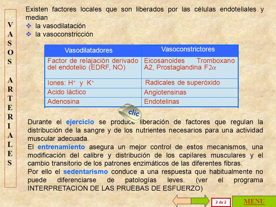 Existen factores locales que son liberados por las células endoteliales y median