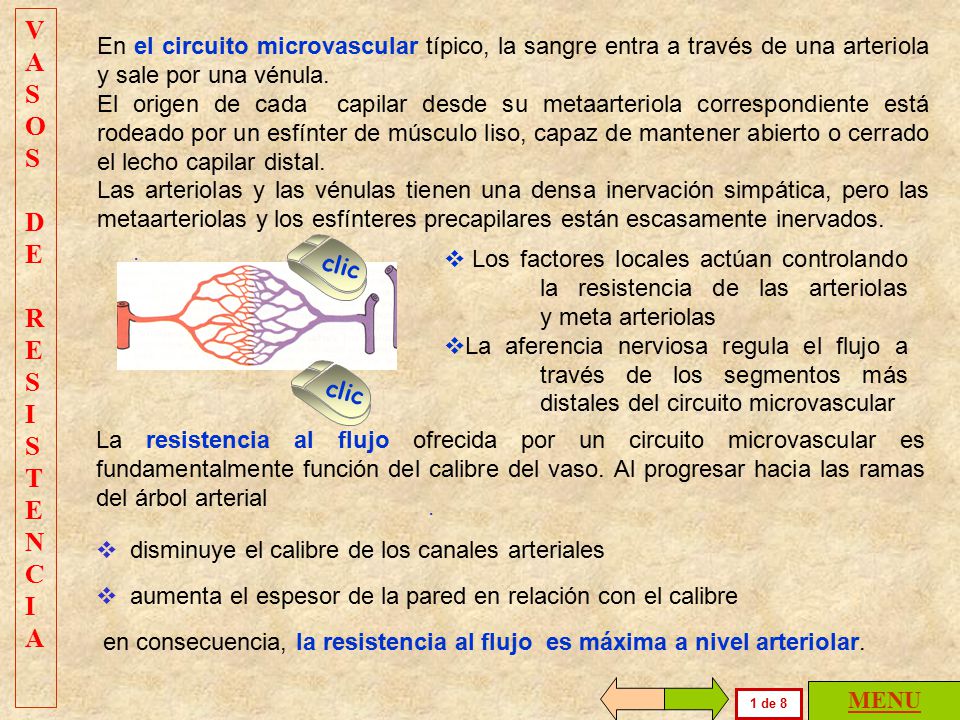 VASOS DE. R. ESISTENCIA. En el circuito microvascular típico, la sangre entra a través de una arteriola y sale por una vénula.