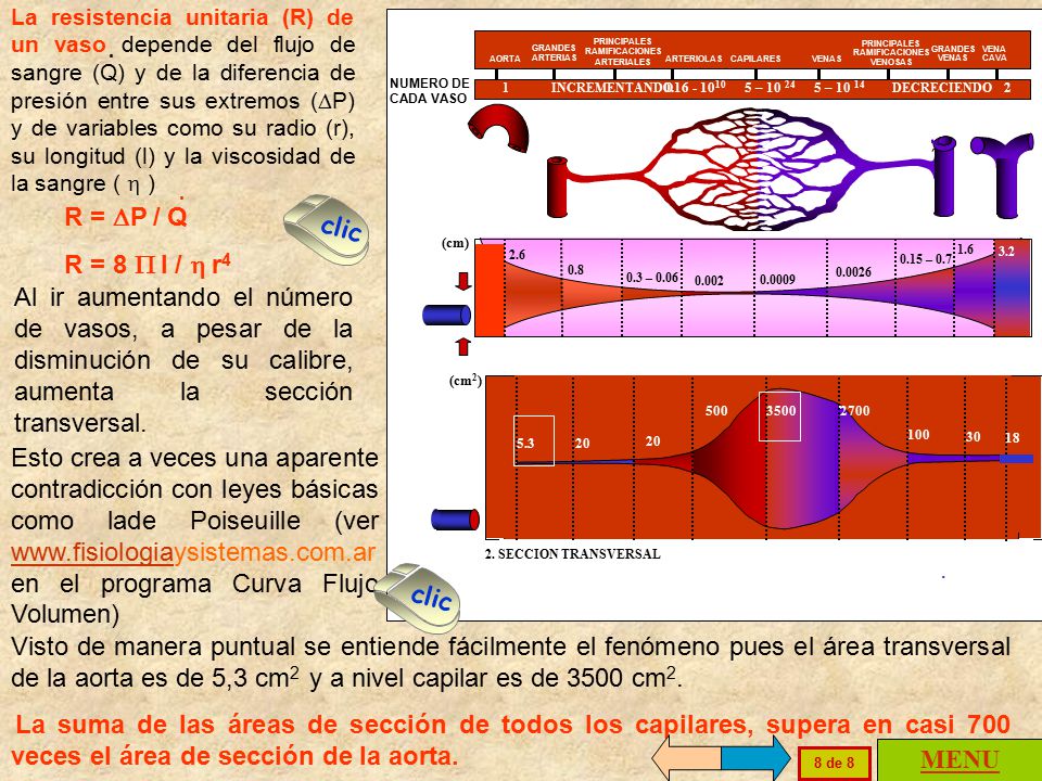 La resistencia unitaria (R) de un vaso depende del flujo de sangre (Q) y de la diferencia de presión entre sus extremos (DP) y de variables como su radio (r), su longitud (l) y la viscosidad de la sangre ( h )