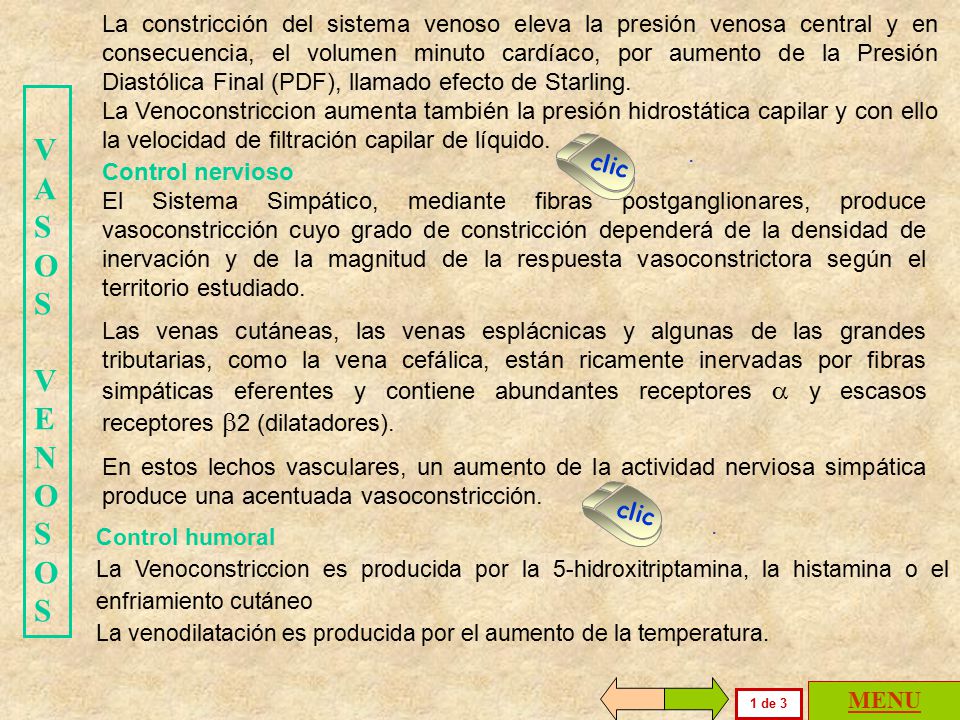 La venodilatación es producida por el aumento de la temperatura.