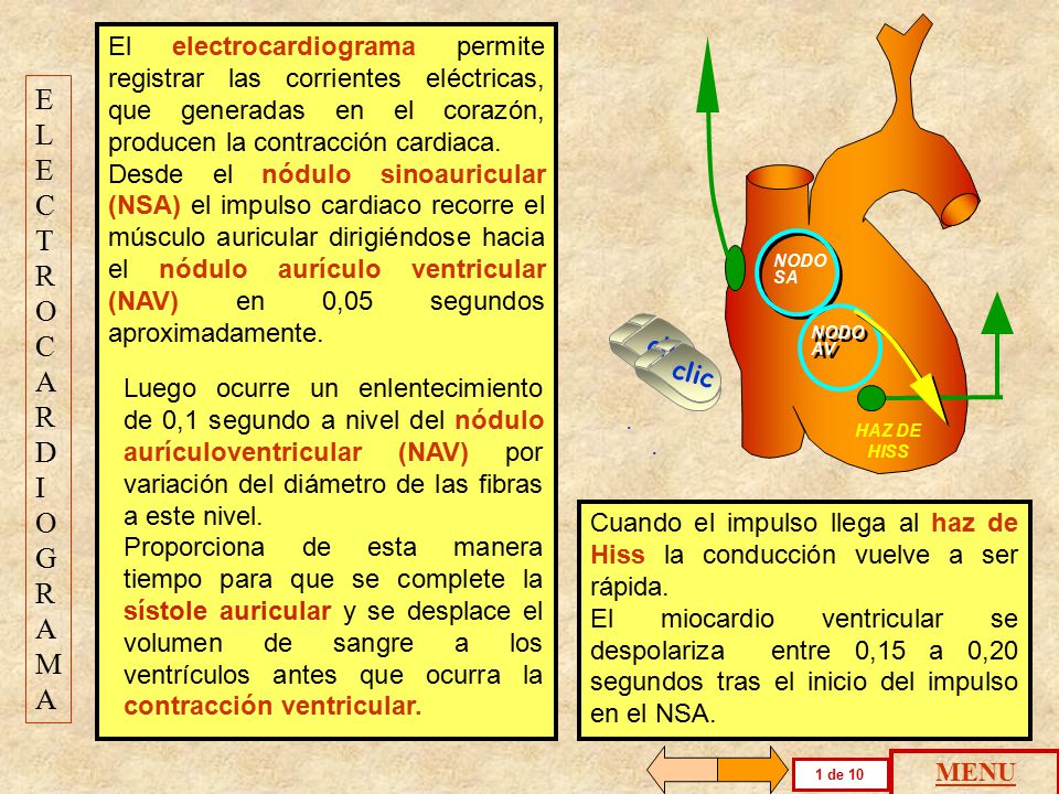 El electrocardiograma permite registrar las corrientes eléctricas, que generadas en el corazón, producen la contracción cardiaca.