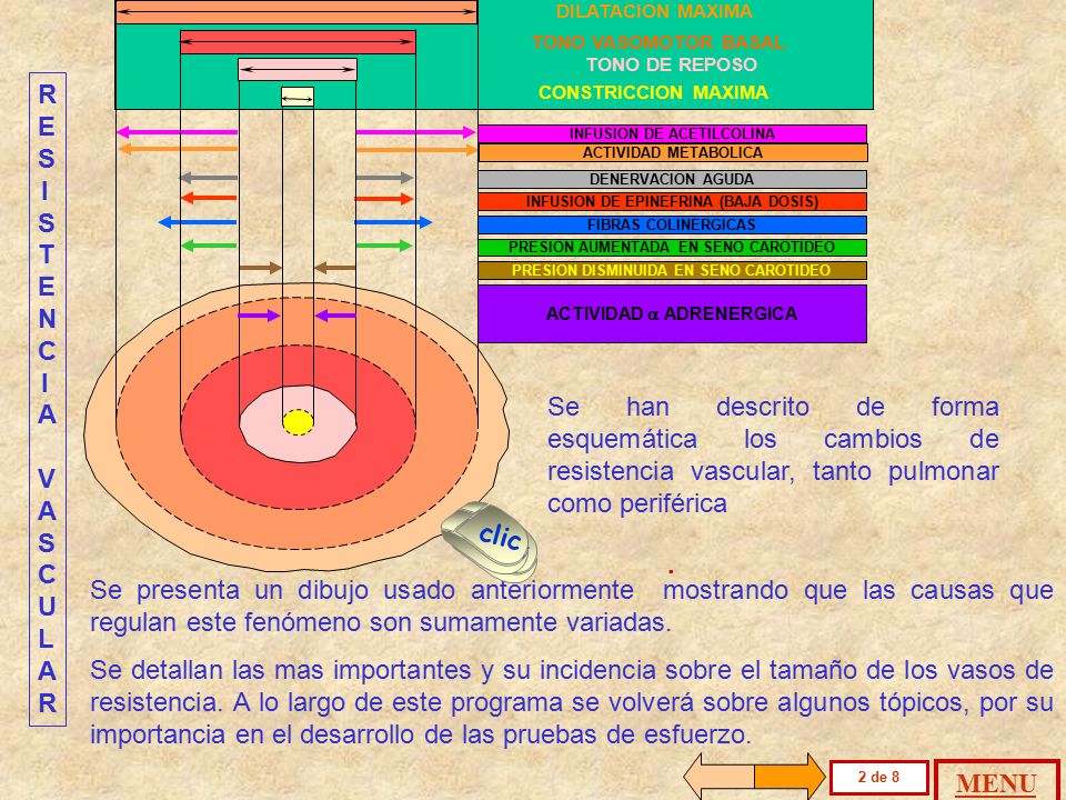 DILATACION MAXIMA TONO VASOMOTOR BASAL. CONSTRICCION MAXIMA. TONO DE REPOSO. RESISTENCIA VASCULAR.
